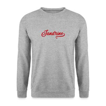 Sandrine - Prénom - Sweat-shirt Unisexe - gris chiné - Devant - Alina (178cm) & Michal (187cm)