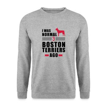 Boston Terrier - Unisex Pullover - Weißgrau meliert - Vorne - Alina (178cm) & Michal (187cm)