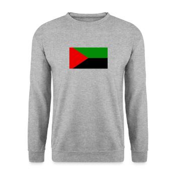 Drapeau Rouge Vert Noir Martinique - Sweat-shirt Unisexe - gris chiné - Devant - Alina (178cm) & Michal (187cm)