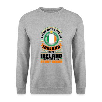 Irlande Irlande Irlande Drapeau Irlande Animal national - Sweat-shirt Unisexe - gris chiné - Devant - Alina (178cm) & Michal (187cm)