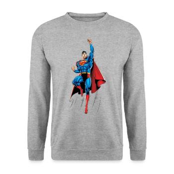 Superman Up and Away - Unisex Sweatshirt - salt & pepper - Front - Alina (178cm) & Michal (187cm)