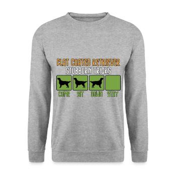 Flat Coated Retriever Dictons drôles drôles - Sweat-shirt Unisexe - gris chiné - Devant - Alina (178cm) & Michal (187cm)