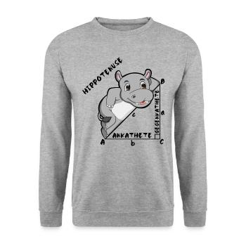 Hippotenuse Cool Fun Shirt Pythagoras Mathe Lovers - Unisex Pullover - Weißgrau meliert - Vorne - Alina (178cm) & Michal (187cm)