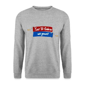Seit 30 Jahren wie gemalt - 30.Geburtstag Jubiläum - Unisex Pullover - Weißgrau meliert - Vorne - Alina (178cm) & Michal (187cm)