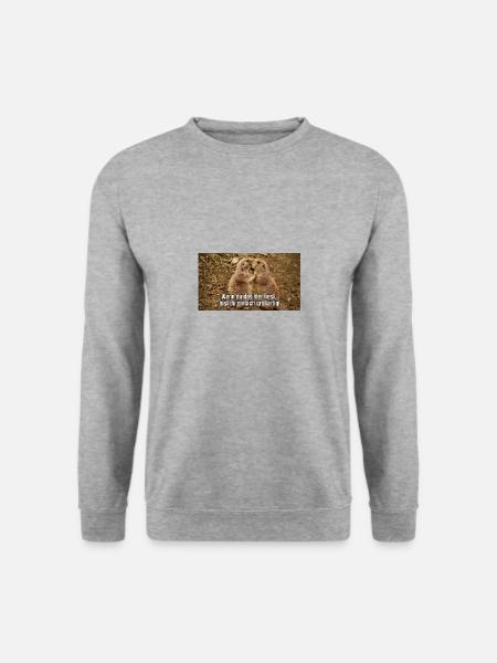 Freunde gehen und bleiben - Unisex Pullover - Weißgrau meliert