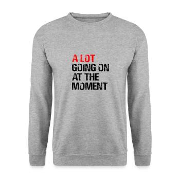 A Lot Going on at The Moment - Unisex Sweatshirt - salt & pepper - Front - Alina (178cm) & Michal (187cm)