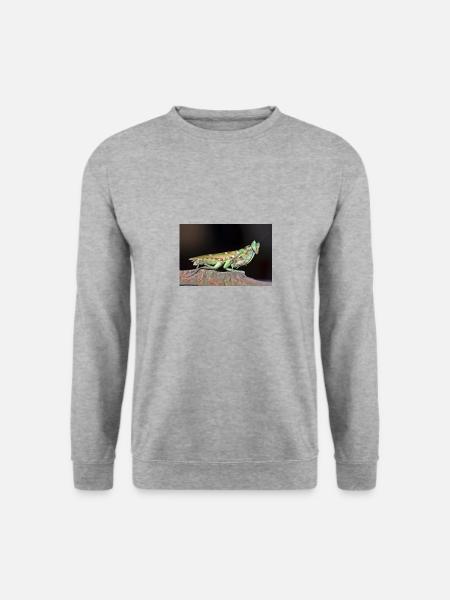 Creobroter cf nebulosus - Flower mantis - Unisex Pullover - Weißgrau meliert