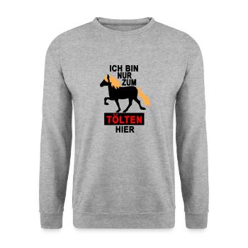nur zum tölten hier - Unisex Pullover - Weißgrau meliert - Vorne - Alina (178cm) & Michal (187cm)