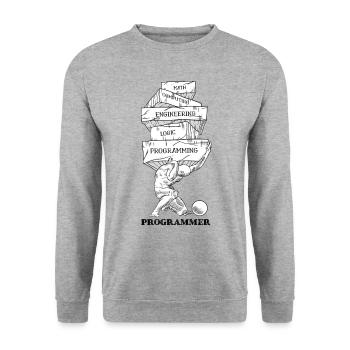 Problèmes de programmation - Sweat-shirt Unisexe - gris chiné - Devant - Alina (178cm) & Michal (187cm)