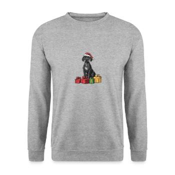 Chiens Dogues Allemands Cadeaux de Noël - Sweat-shirt Unisexe - gris chiné - Devant - Alina (178cm) & Michal (187cm)