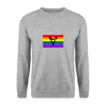 Pride Flagge mit Geschlechterzeichen - Unisex Pullover - Weißgrau meliert - Vorne - Alina (178cm) & Michal (187cm)