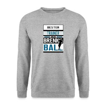Brennball Trainer Bester Brennballtrainer Team - Unisex Pullover - Weißgrau meliert - Vorne - Alina (178cm) & Michal (187cm)