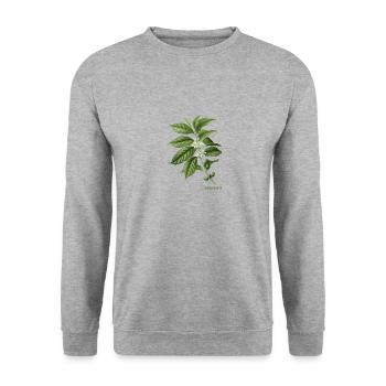Coffea Arabica Pflanzen Koffein Liebhaber - Unisex Pullover - Weißgrau meliert - Vorne - Alina (178cm) & Michal (187cm)