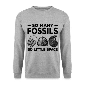 Fossilien Sammeln - Unisex Pullover - Weißgrau meliert - Vorne - Alina (178cm) & Michal (187cm)