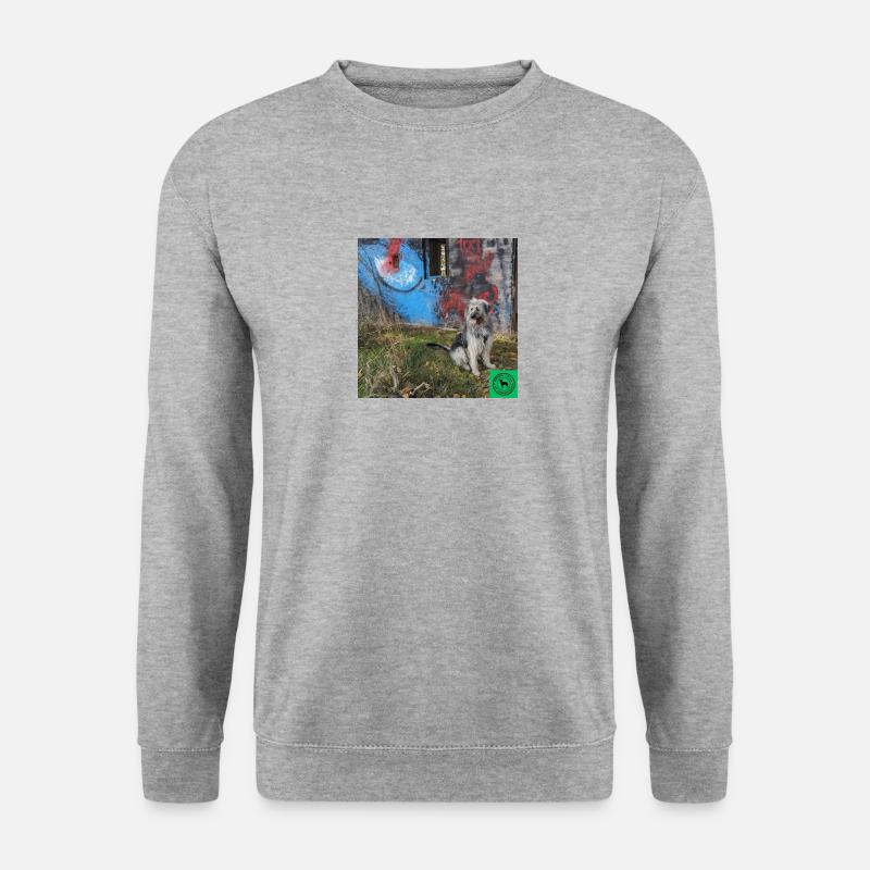 Lost Places Jimmy - Unisex Pullover - Weißgrau meliert