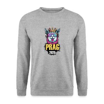 Prag 2025 Alpaka Party Urlaub - Unisex Pullover - Weißgrau meliert - Vorne - Alina (178cm) & Michal (187cm)