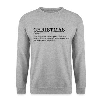 Christmas - Definition Funny Gift - Unisex Sweatshirt - salt & pepper - Front - Alina (178cm) & Michal (187cm)