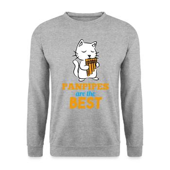 Flûte de pan Flûte musique chatte instrument - Sweat-shirt Unisexe - gris chiné - Devant - Alina (178cm) & Michal (187cm)
