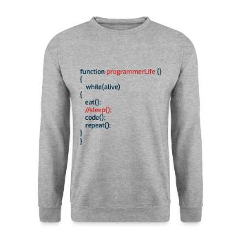 Computerprogrammierer Codierer Software Engineers Geschenk - Unisex Pullover - Weißgrau meliert - Vorne - Alina (178cm) & Michal (187cm)
