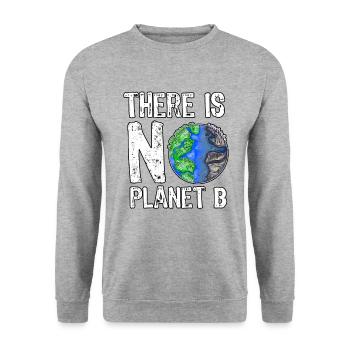There Is No Planet B Save The Planet Nachhaltig - Unisex Pullover - Weißgrau meliert - Vorne - Alina (178cm) & Michal (187cm)