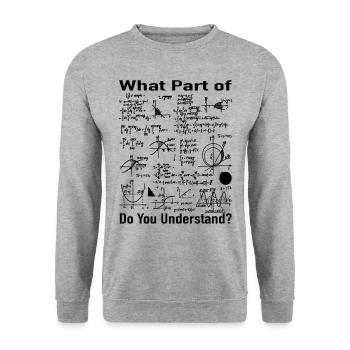 Mathématiques Enseignants Cadeau - Formules de maths - Sweat-shirt Unisexe - gris chiné - Devant - Alina (178cm) & Michal (187cm)