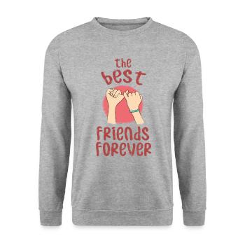 best friends - Unisex Sweatshirt - salt & pepper - Front - Alina (178cm) & Michal (187cm)