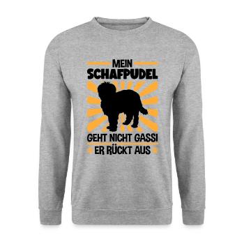 Schafpudel Gassi gehen zotthaariger Hütepudel - Unisex Pullover - Weißgrau meliert - Vorne - Alina (178cm) & Michal (187cm)