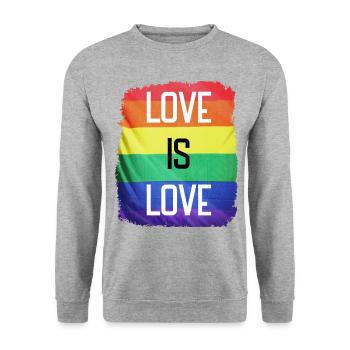 Love is Love, Pride - Unisex Sweatshirt - salt & pepper - Front - Alina (178cm) & Michal (187cm)