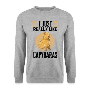 Ich mag Capybaras südamerikanisches Capybara - Unisex Pullover - Weißgrau meliert - Vorne - Alina (178cm) & Michal (187cm)