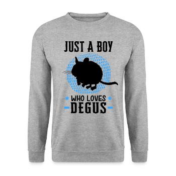 Only a boy of the Degus loves rodent Chile - Unisex Sweatshirt - salt & pepper - Front - Alina (178cm) & Michal (187cm)