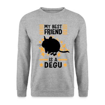 Degu is my friend rodent Chile Degus - Unisex Sweatshirt - salt & pepper - Front - Alina (178cm) & Michal (187cm)