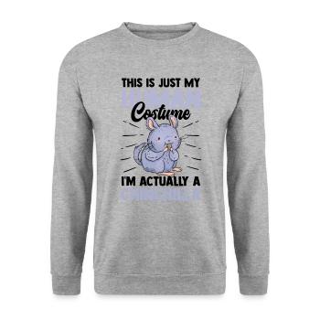 Chinchilla juste un costume de souris laineuse - Sweat-shirt Unisexe - gris chiné - Devant - Alina (178cm) & Michal (187cm)