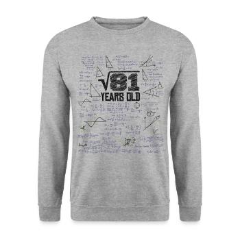Square Root of 81 Math Nerd 9th Birthday - Unisex Sweatshirt - salt & pepper - Front - Alina (178cm) & Michal (187cm)