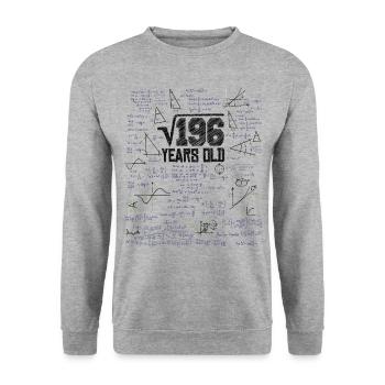 Square Root of 196 Math Nerd 13th Birthday - Unisex Sweatshirt - salt & pepper - Front - Alina (178cm) & Michal (187cm)