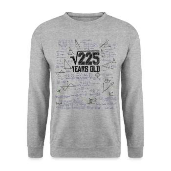 Square Root of 225 Math Nerd 15th Birthday - Unisex Sweatshirt - salt & pepper - Front - Alina (178cm) & Michal (187cm)
