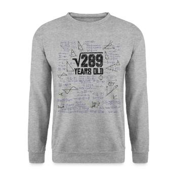 Square root of 289 math nerd 17th birthday - Unisex Sweatshirt - salt & pepper - Front - Alina (178cm) & Michal (187cm)