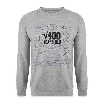 Racine carrée de 400 math nerd 20e anniversaire - Sweat-shirt Unisexe - gris chiné - Devant - Alina (178cm) & Michal (187cm)