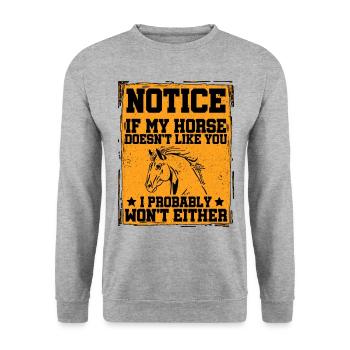 Notice If My Horse Doesn't Like You Equestrian Rid - Unisex Pullover - Weißgrau meliert - Vorne - Alina (178cm) & Michal (187cm)