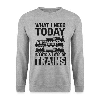 Steam Train Driver Trainspotting - Unisex Pullover - Weißgrau meliert - Vorne - Alina (178cm) & Michal (187cm)