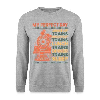 Steam Train Driver Trainspotting - Unisex Pullover - Weißgrau meliert - Vorne - Alina (178cm) & Michal (187cm)