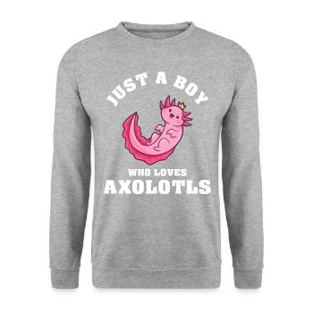 Just A Boy Who Loves Axolotls - Unisex Pullover - Weißgrau meliert - Vorne - Alina (178cm) & Michal (187cm)