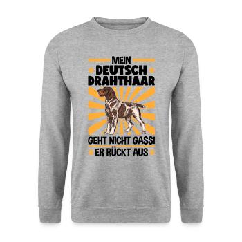 Deutsch Drahthaar Gassi gehen Jagdhund - Unisex Pullover - Weißgrau meliert - Vorne - Alina (178cm) & Michal (187cm)