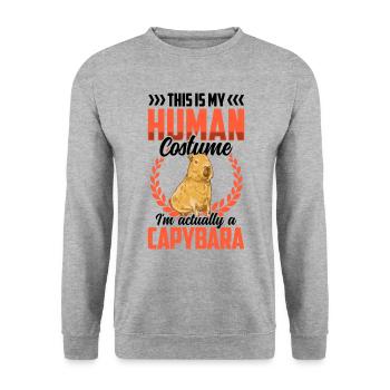 Capybara das ist mein Kostüm Capybara - Unisex Pullover - Weißgrau meliert - Vorne - Alina (178cm) & Michal (187cm)