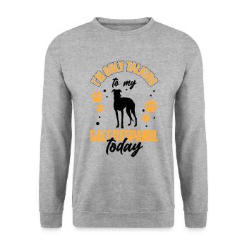 Je parle juste à mon Galgo Espanol - Sweat-shirt Unisexe - gris chiné - Devant - Alina (178cm) & Michal (187cm)