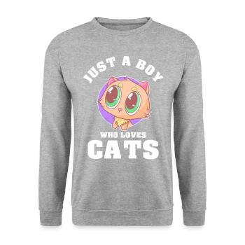 Juste un garçon qui aime les chats - Sweat-shirt Unisexe - gris chiné - Devant - Alina (178cm) & Michal (187cm)