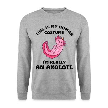 This Is My Human Costume Axolotl - Unisex Pullover - Weißgrau meliert - Vorne - Alina (178cm) & Michal (187cm)