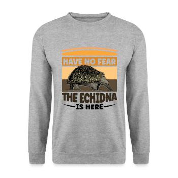 Have no fear the Echidna is here - Unisex Pullover - Weißgrau meliert - Vorne - Alina (178cm) & Michal (187cm)
