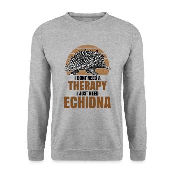 I dont need a therapy i just need Echidna - Unisex Pullover - Weißgrau meliert - Vorne - Alina (178cm) & Michal (187cm)