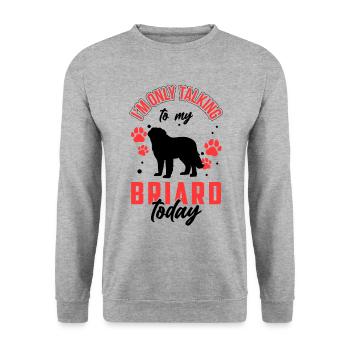 Rede nur mit meinem Briard Berger de Brie - Unisex Pullover - Weißgrau meliert - Vorne - Alina (178cm) & Michal (187cm)