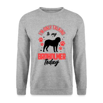 Parlez seulement au grand danois de Broholm - Sweat-shirt Unisexe - gris chiné - Devant - Alina (178cm) & Michal (187cm)